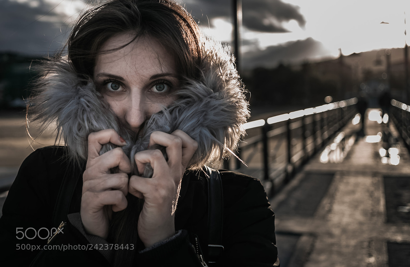 Canon EOS-1D Mark II sample photo. Untitled photography