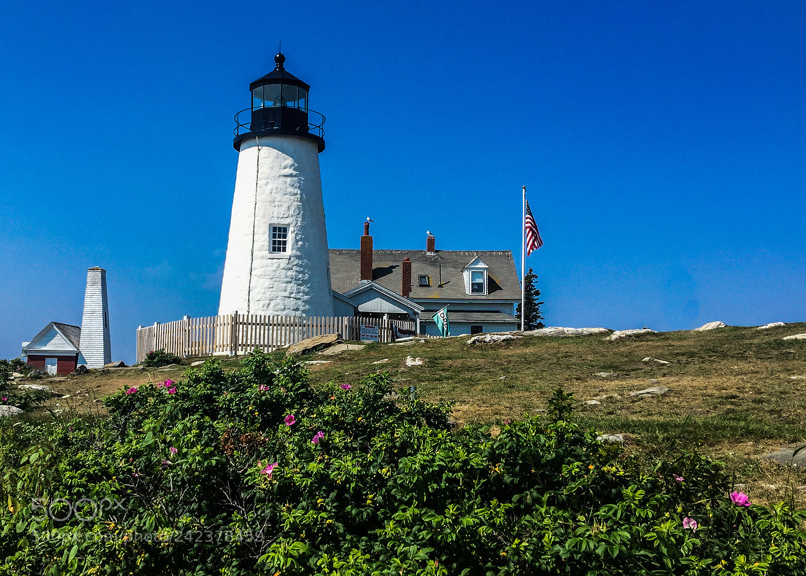 Apple iPhone 6 Plus sample photo. Pemaquid point lighthouse, maine photography