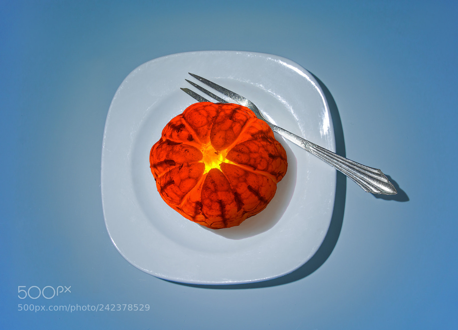 Nikon D7100 sample photo. Fruit power photography