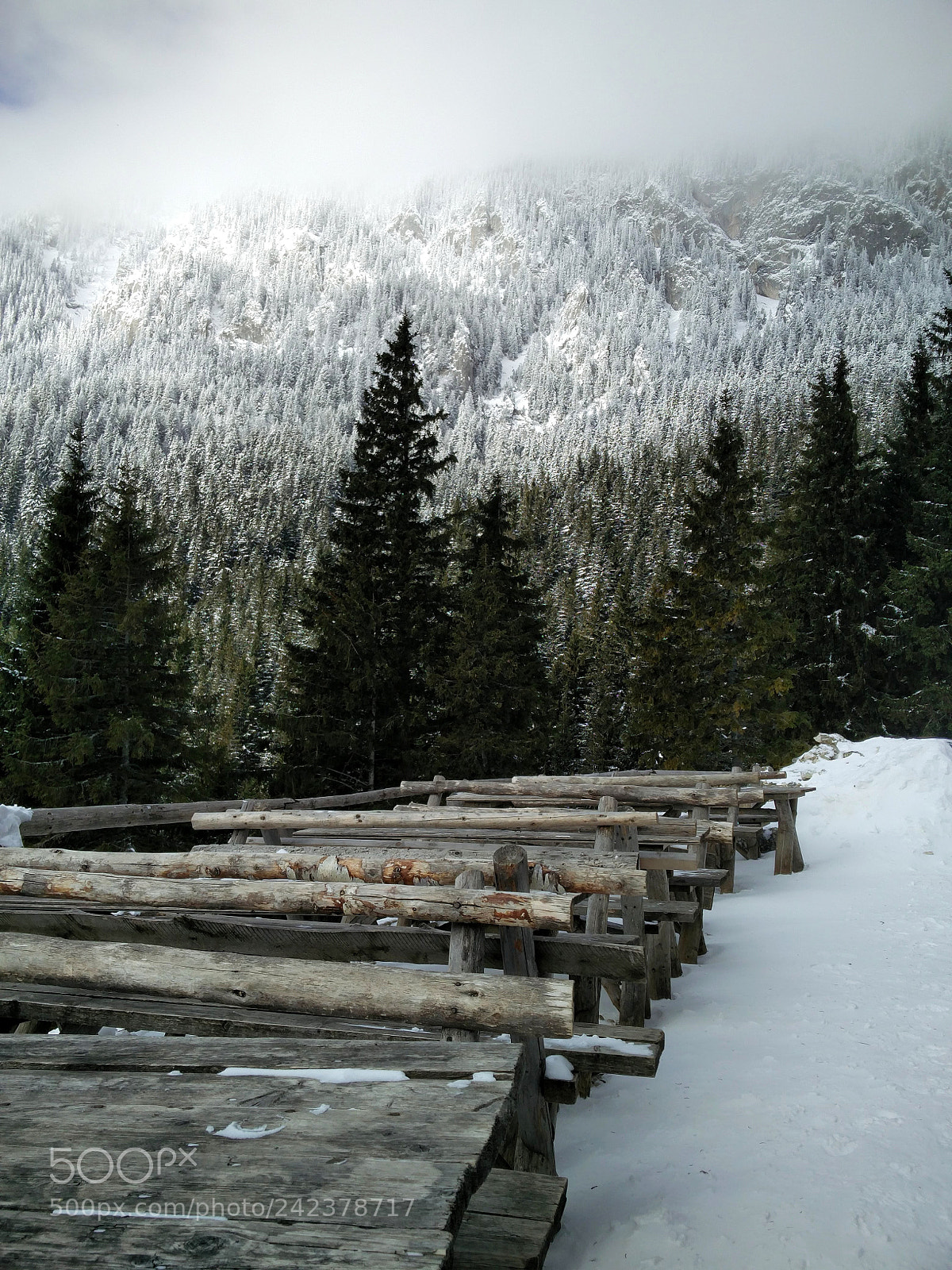 OnePlus 2 sample photo. Snow and silence photography