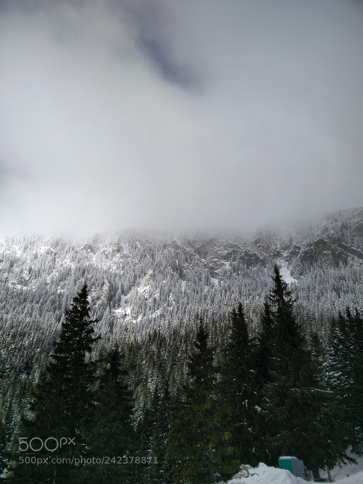 OnePlus 2 sample photo. Nature photography