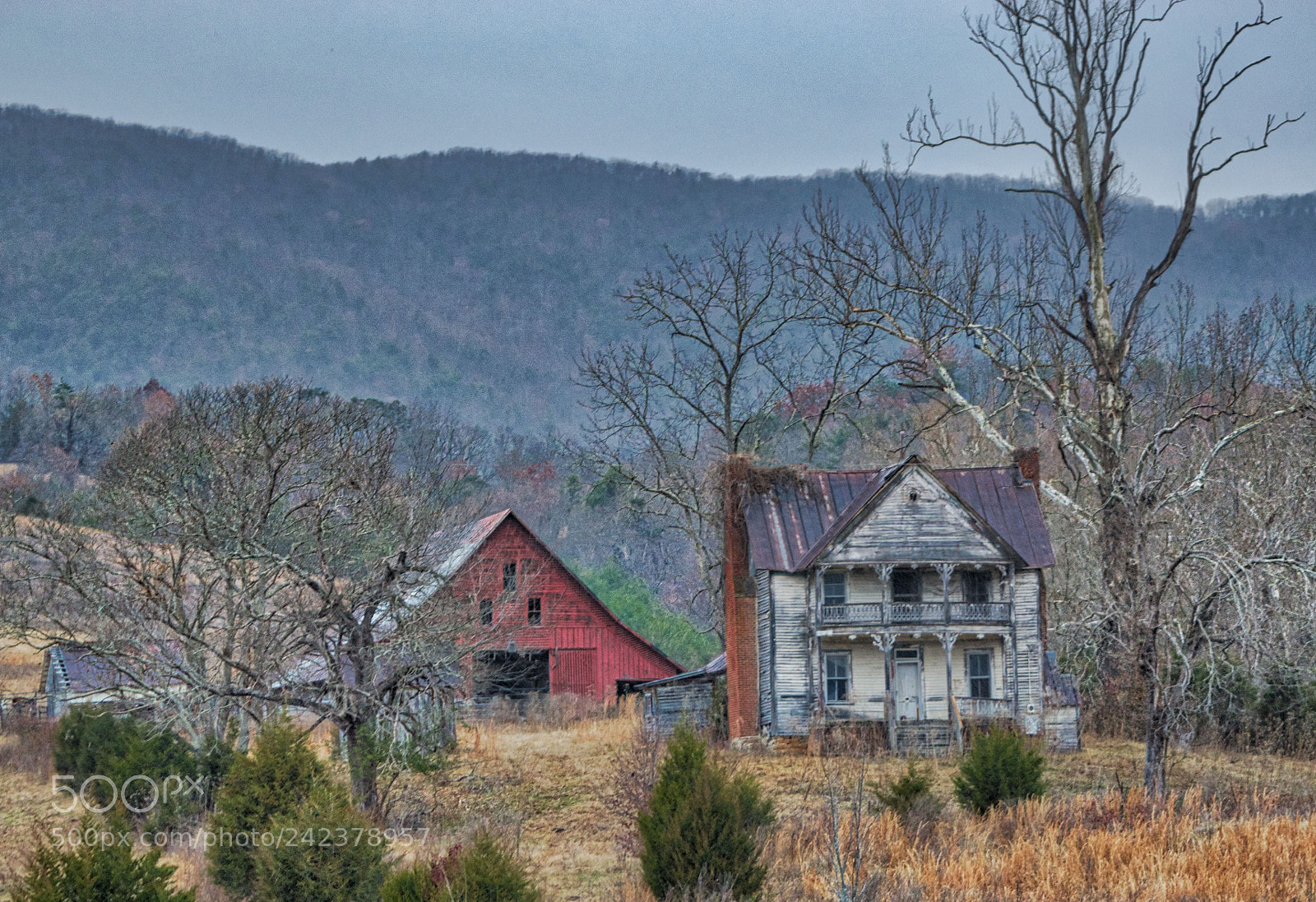 Nikon D5500 sample photo. Judge ellis house photography