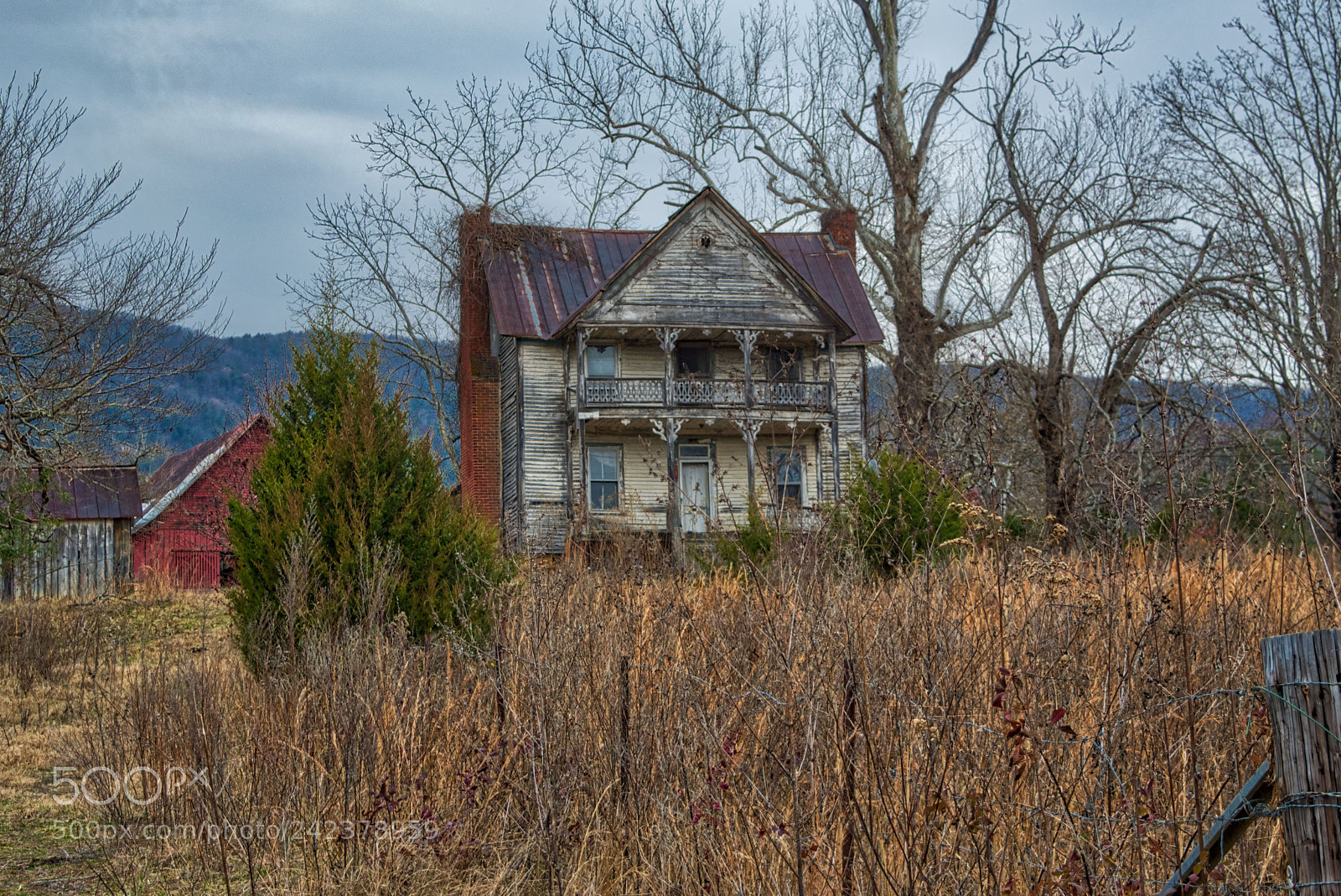 Nikon D5500 sample photo. Judge ellis house photography