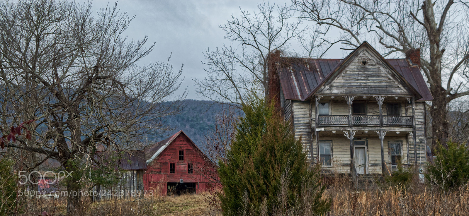 Nikon D5500 sample photo. Judge ellis house photography