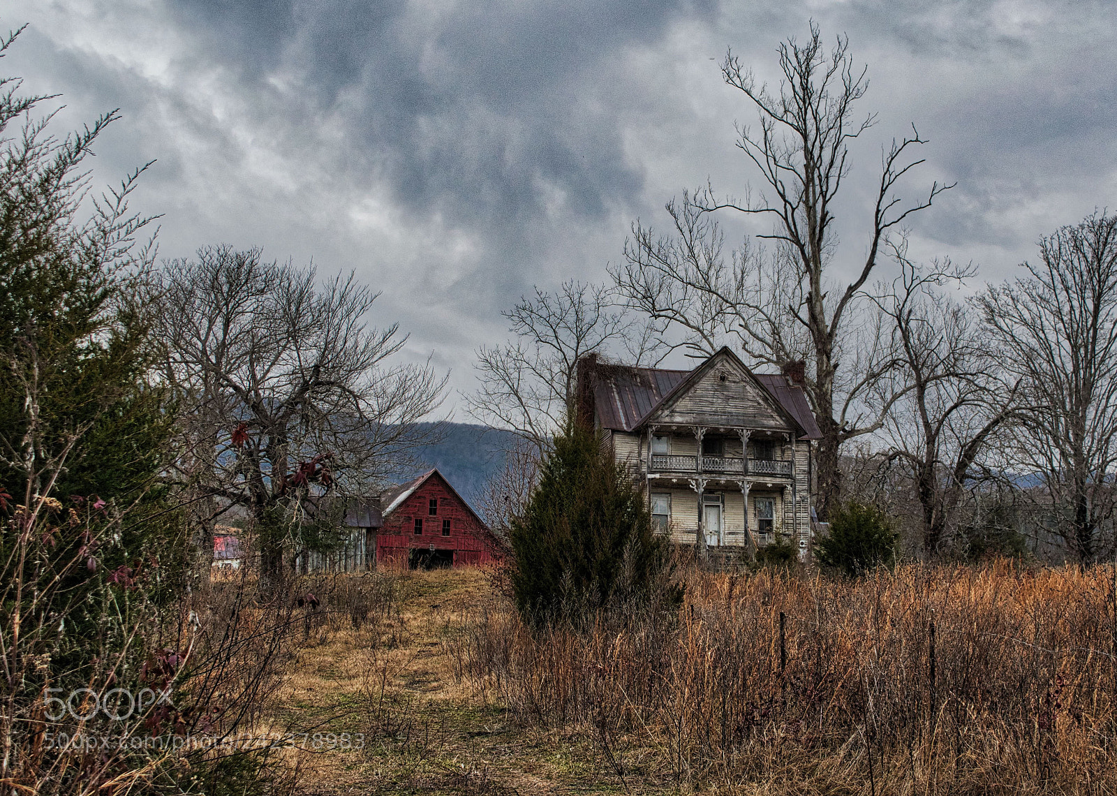 Nikon D5500 sample photo. Judge ellis house photography