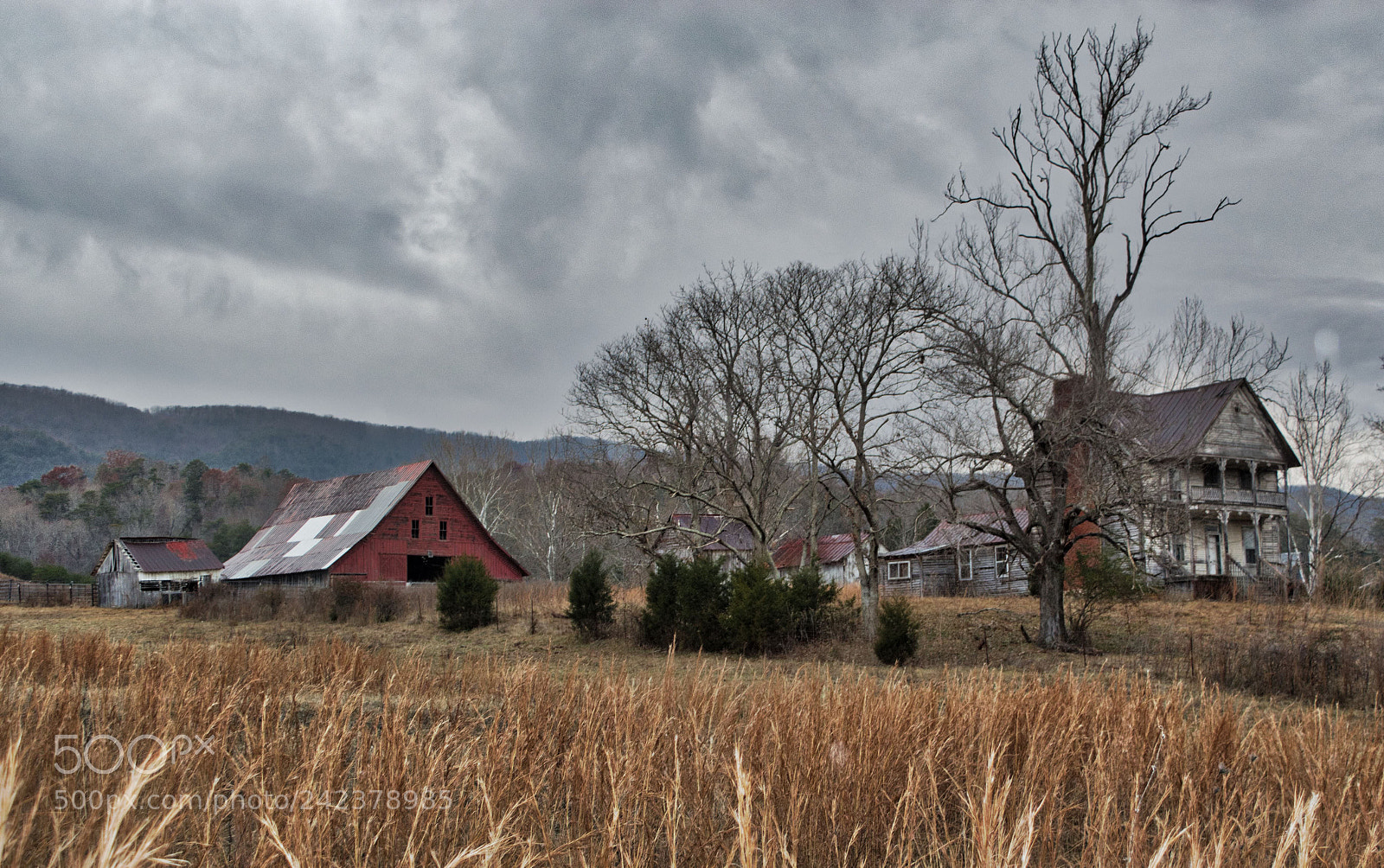 Nikon D5500 sample photo. Judge ellis house photography