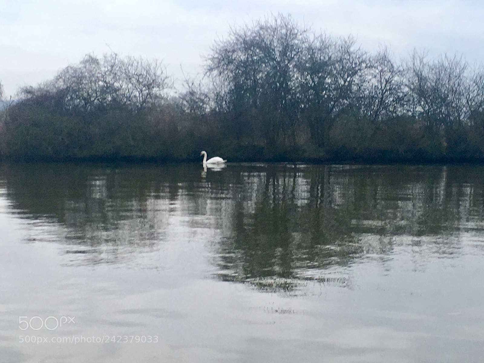 Apple iPhone SE sample photo. Winter canal photography