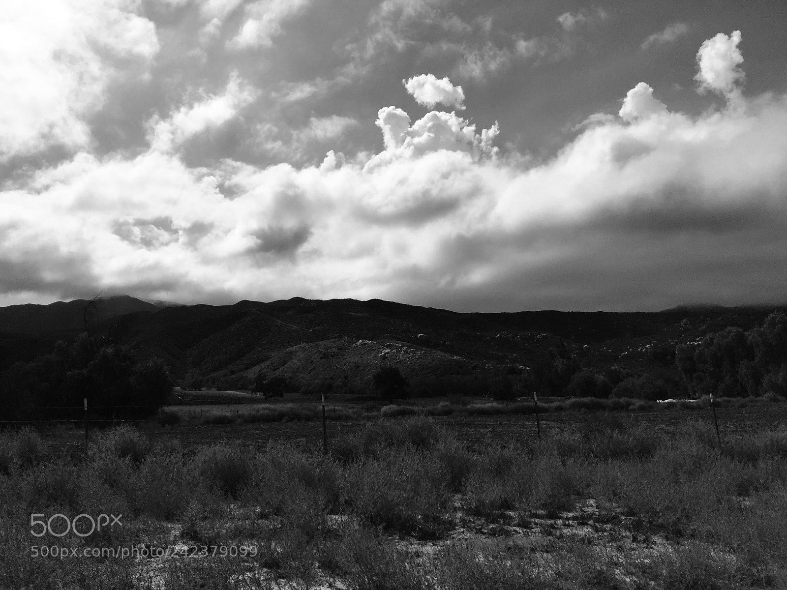 Apple iPhone 6 Plus sample photo. Rolling hills photography