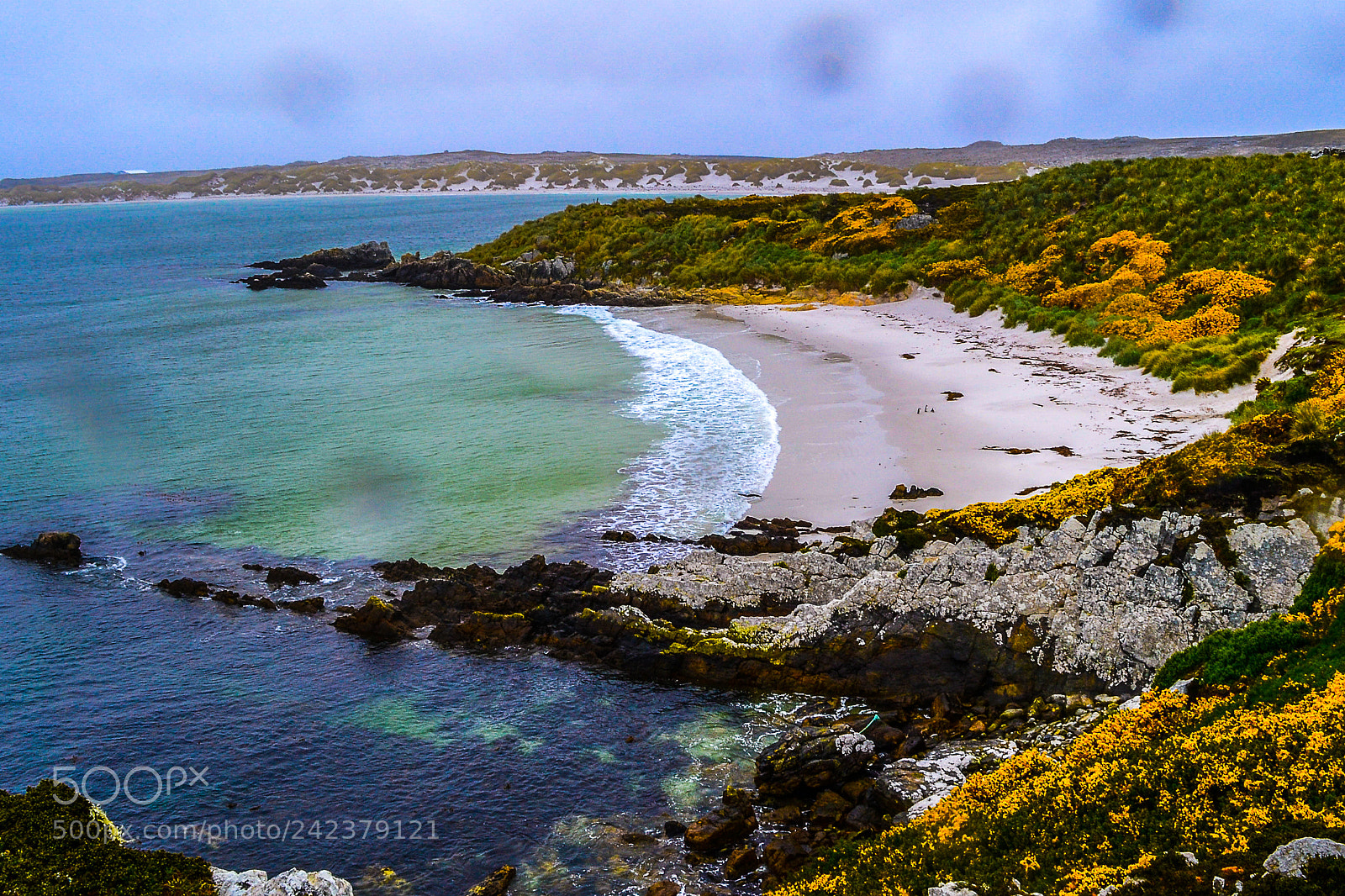 Nikon D3100 sample photo. Islas malvinas photography