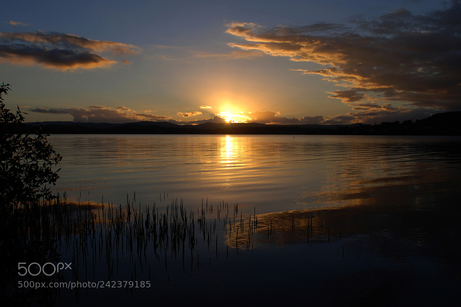 Nikon D80 sample photo. Mangrove sunset photography