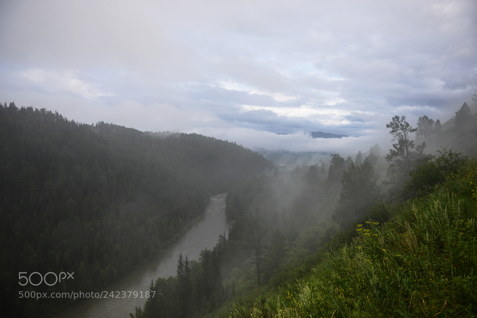 Nikon D800E sample photo. Altai photography