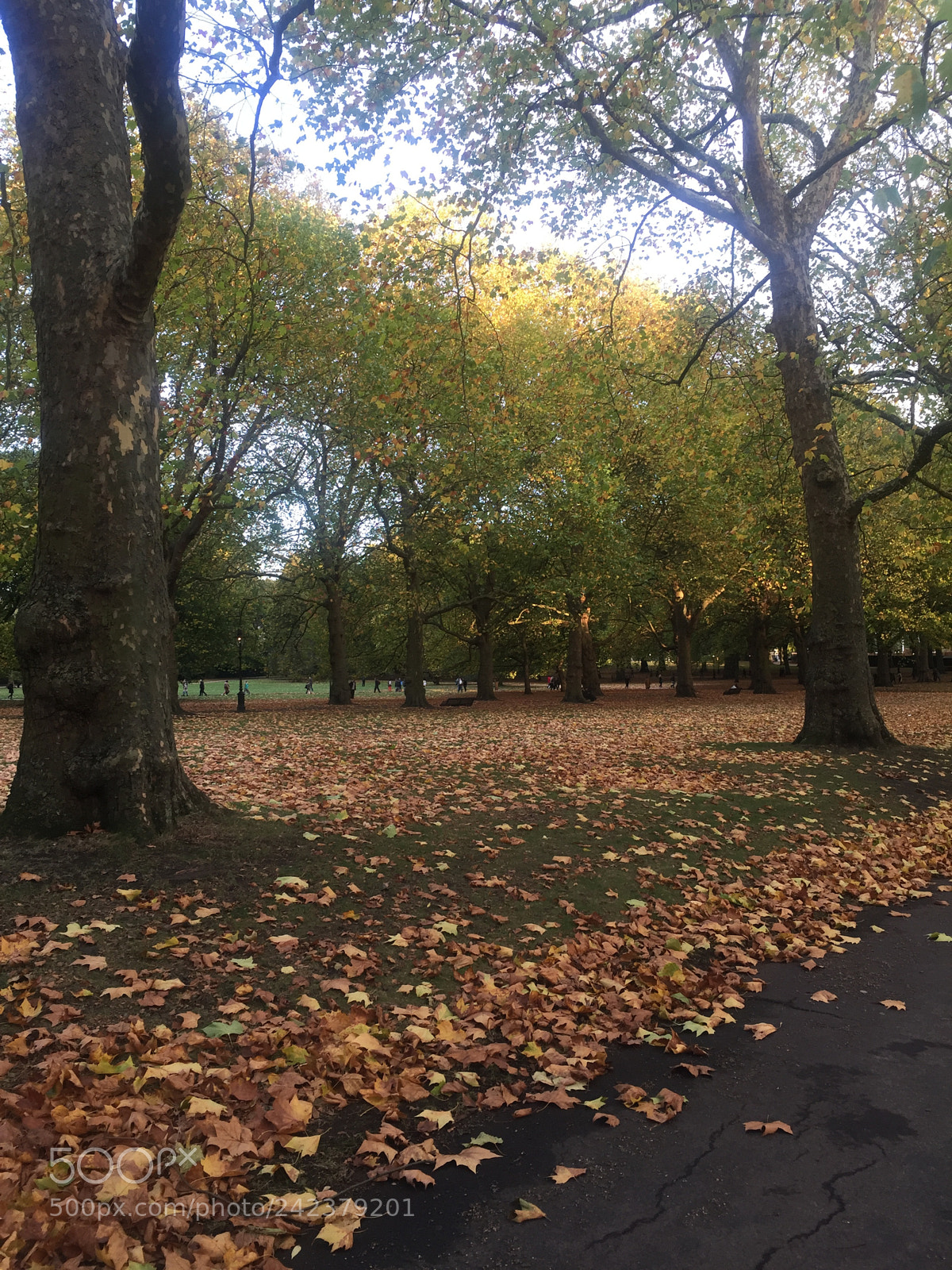 Apple iPhone 6 Plus sample photo. London photography