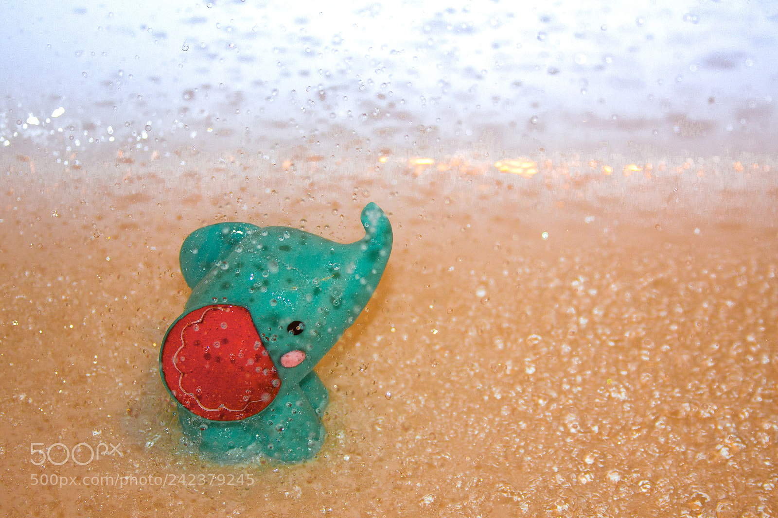 Canon EOS 50D sample photo. Img photography