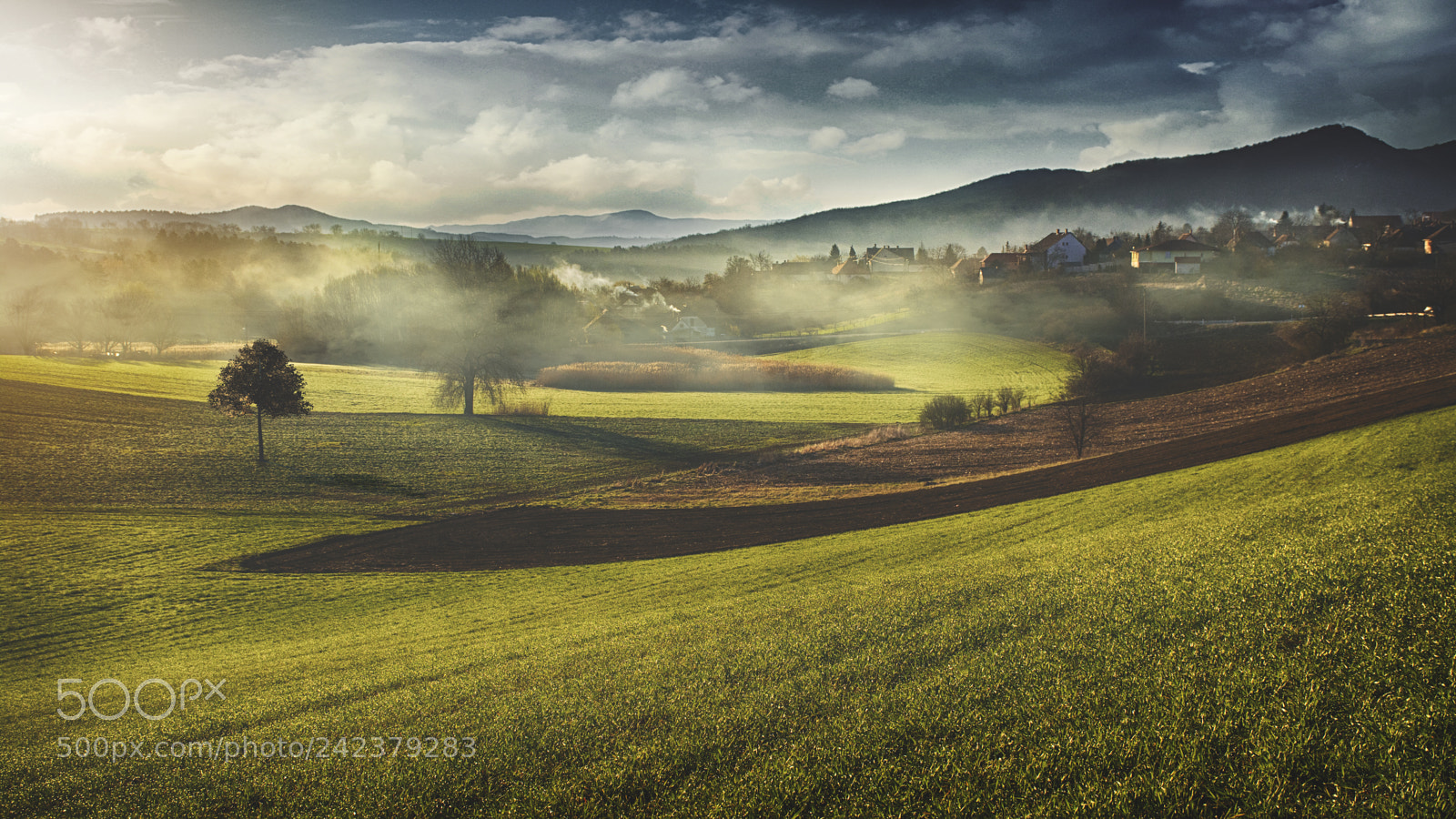 Nikon D7100 sample photo. Morning misty photography