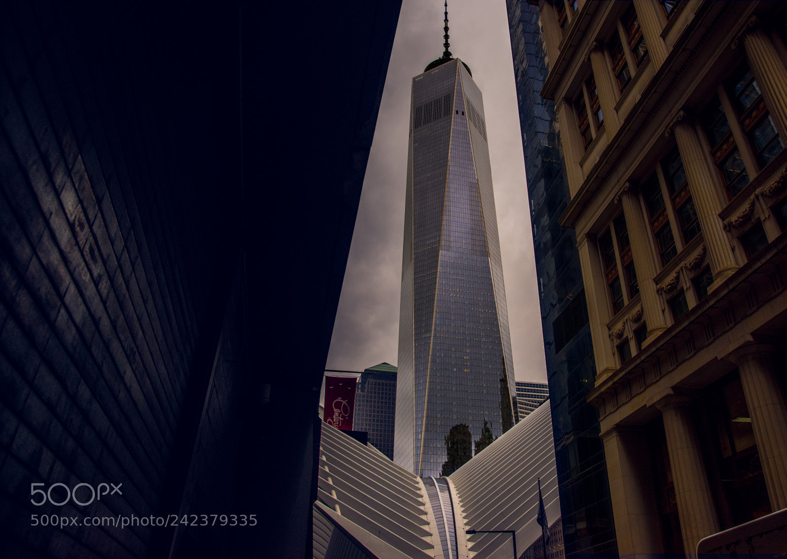 Nikon D810 sample photo. Perspective photography