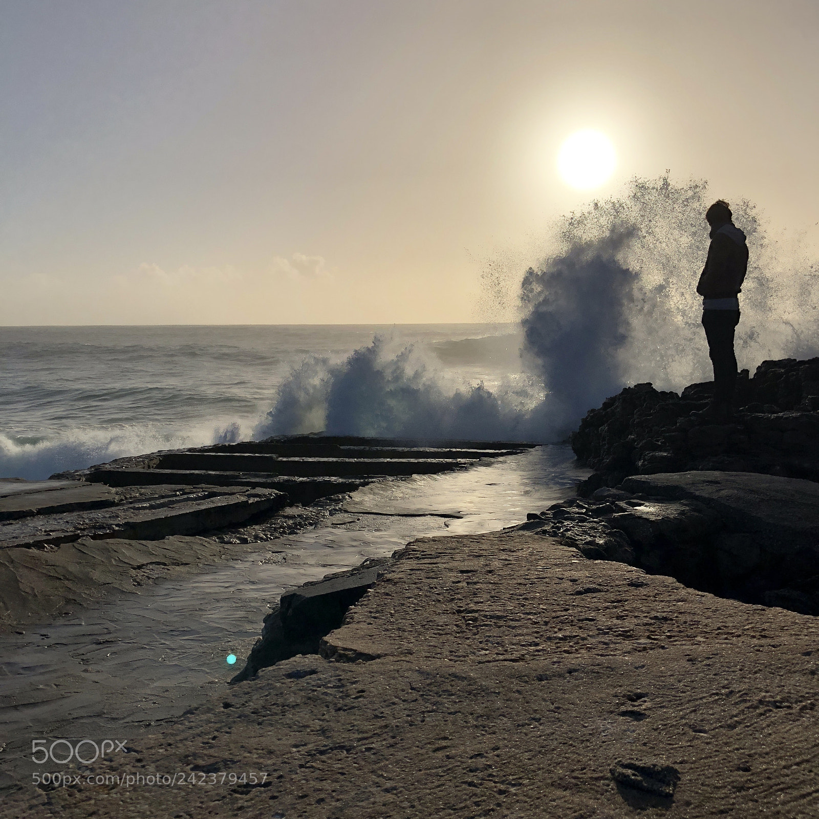 Apple iPhone 8 Plus sample photo. Last wave of 2017 photography