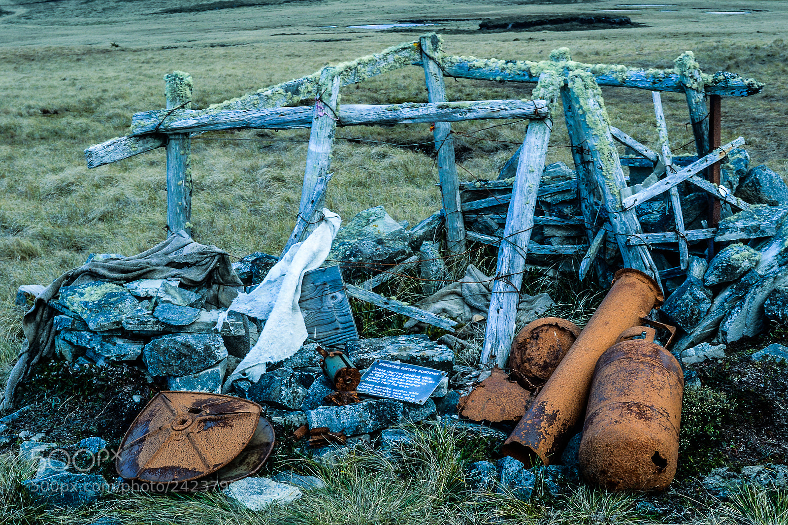 Nikon D3100 sample photo. Islas malvinas photography
