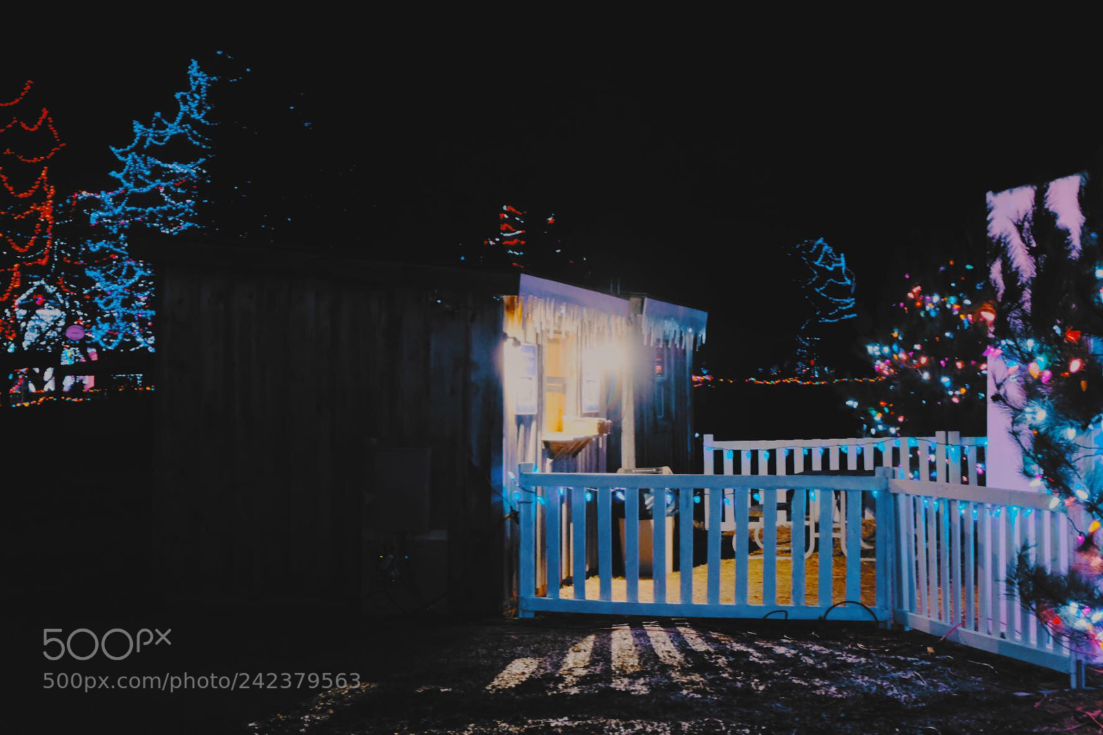 Fujifilm X-T20 sample photo. Light in night photography