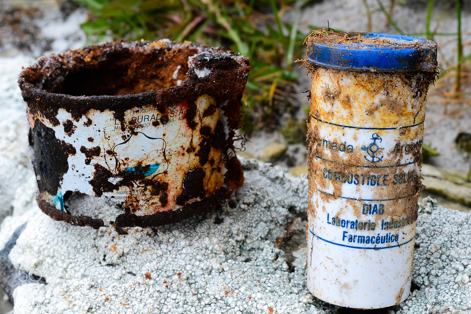 Nikon D3100 sample photo. Islas malvinas photography