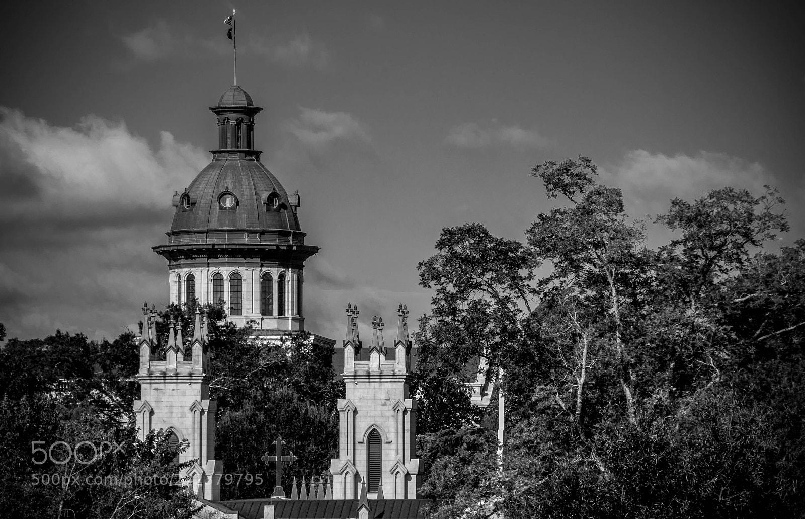 Nikon D80 sample photo. Sc state house dome photography