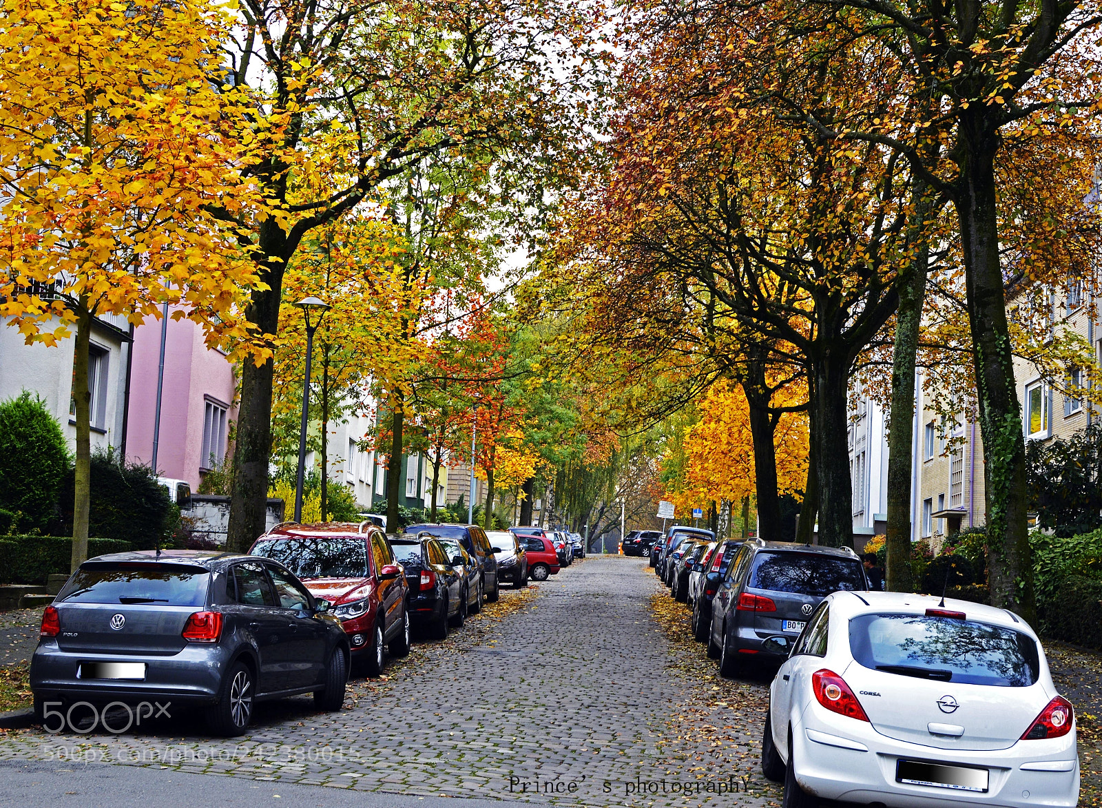 Nikon D3200 sample photo. Colorful autumn photography