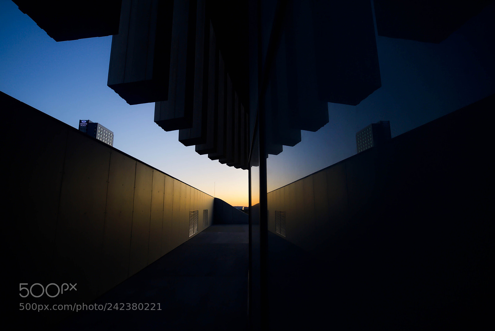 Nikon D3 sample photo. Arena ii photography