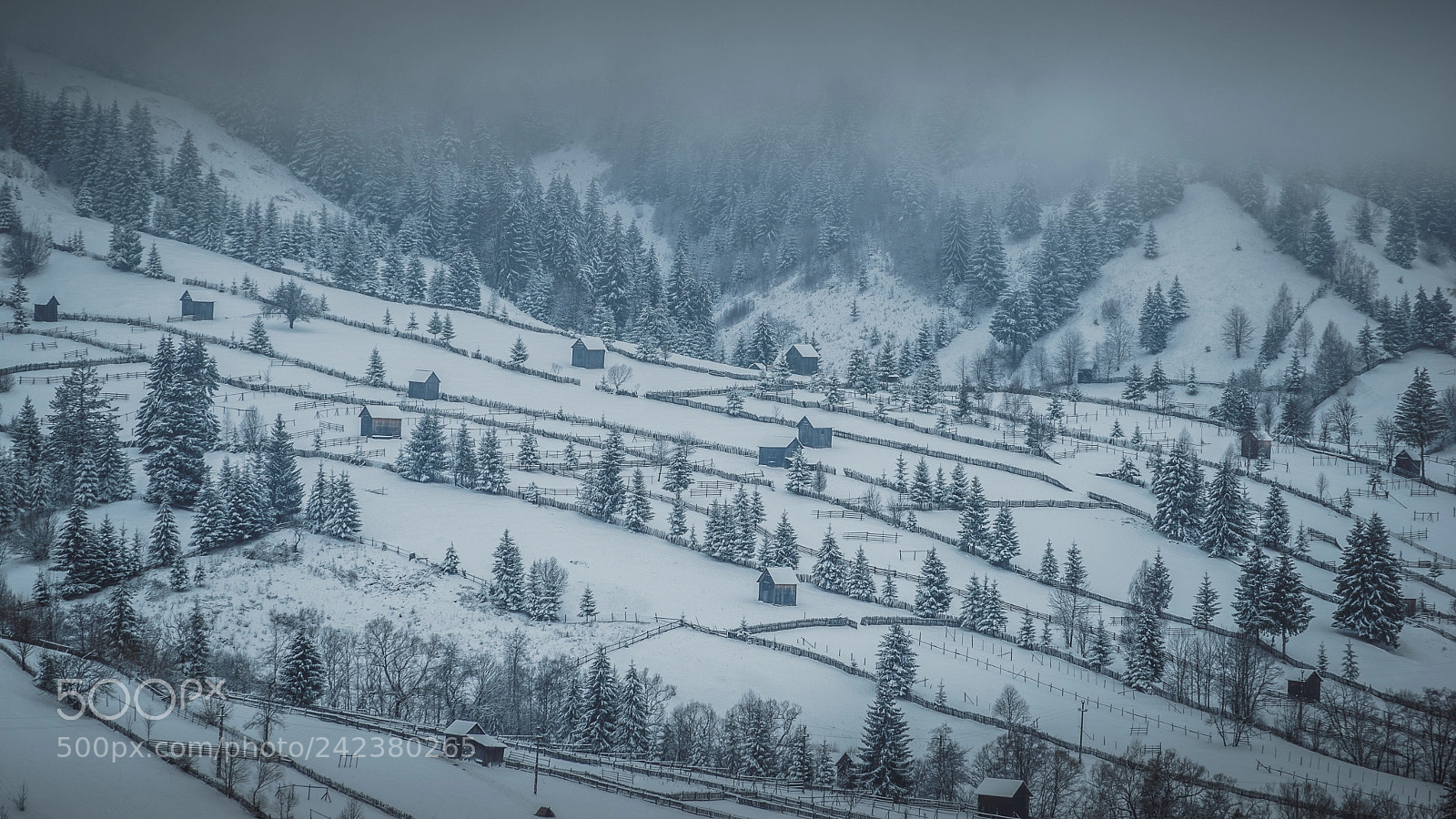 Sony a7 II sample photo. 1001 fences photography