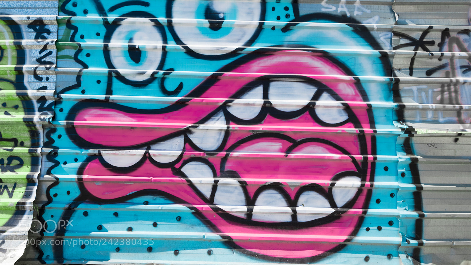 Fujifilm X-Pro2 sample photo. Street art x photography