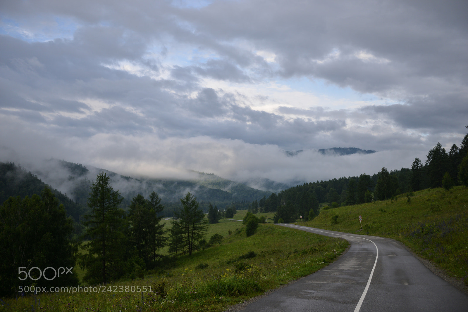Nikon D800E sample photo. Altai photography
