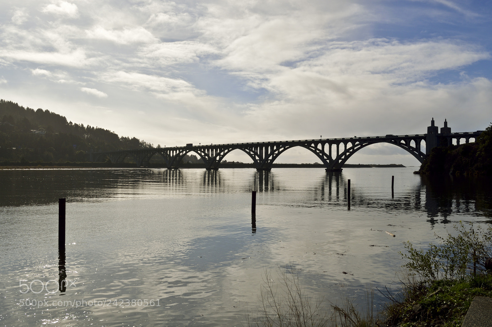 Nikon D3200 sample photo. Gold beach bridge photography