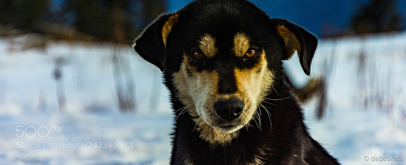 Nikon D7200 sample photo. ! photography