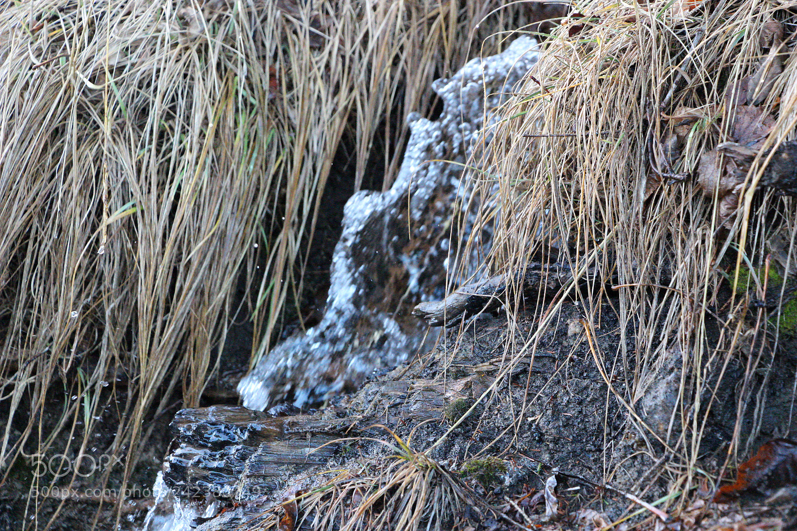 Canon EOS 100D (EOS Rebel SL1 / EOS Kiss X7) sample photo. Running water photography