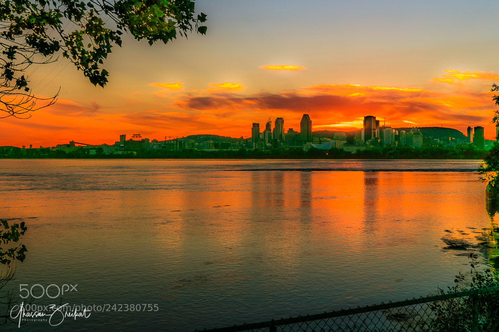 Canon EOS-1D X Mark II sample photo. Montreal sunset photography