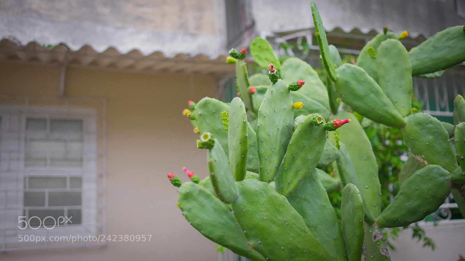 Fujifilm X-E2 sample photo. Cuba x photography