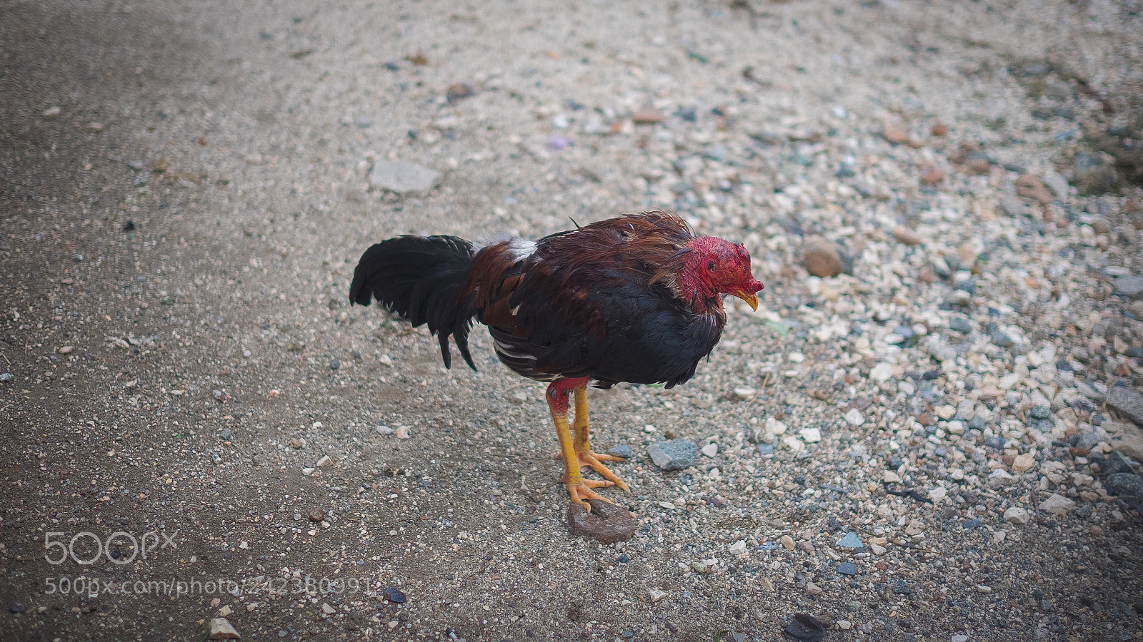 Fujifilm X-E2 sample photo. Cuba x photography