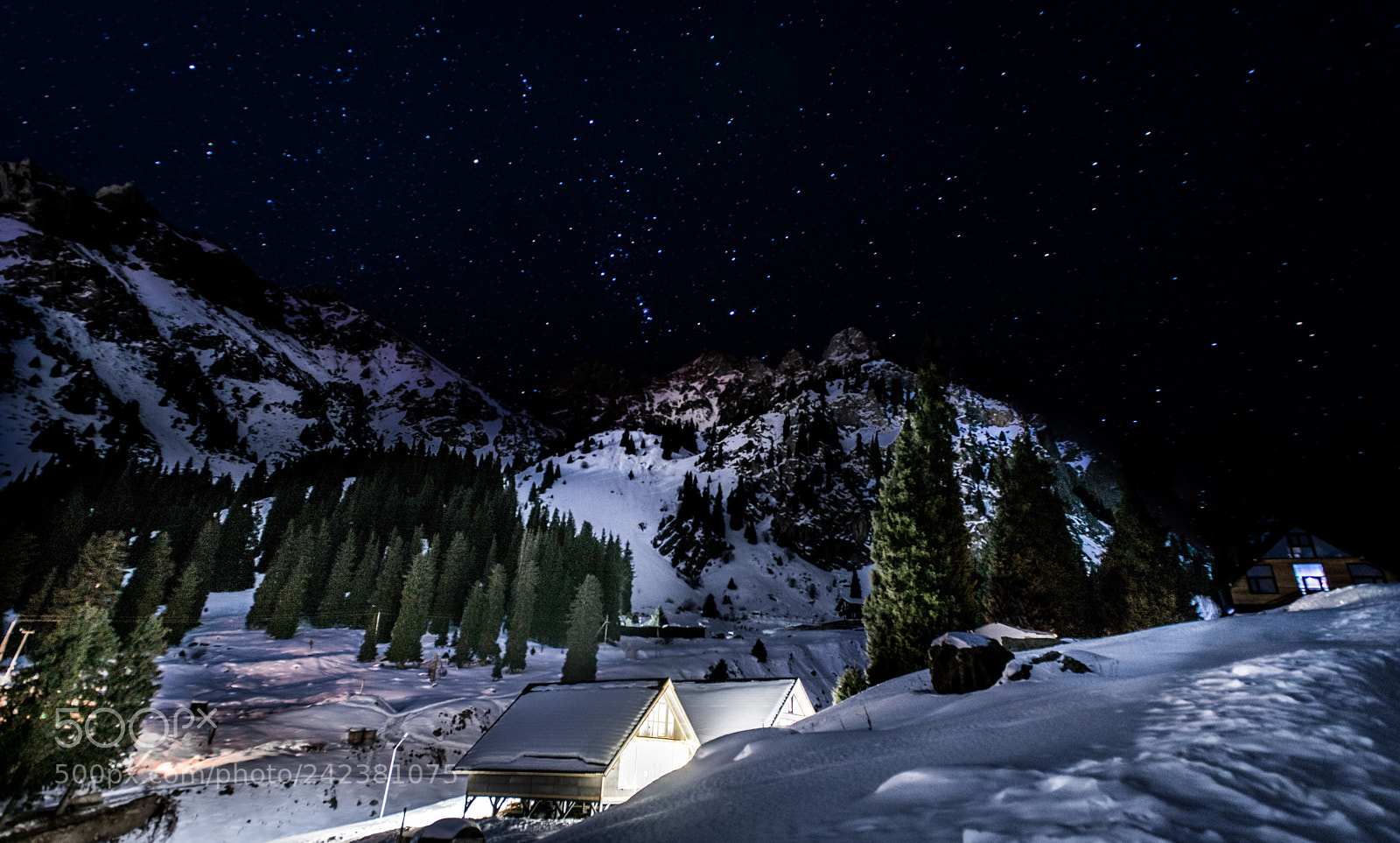 Nikon D810 sample photo. The whispers of stars photography