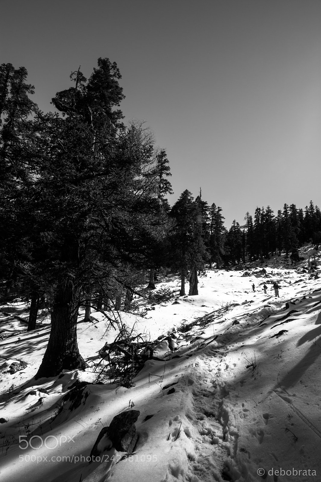 Nikon D7200 sample photo. About to reach khullara photography