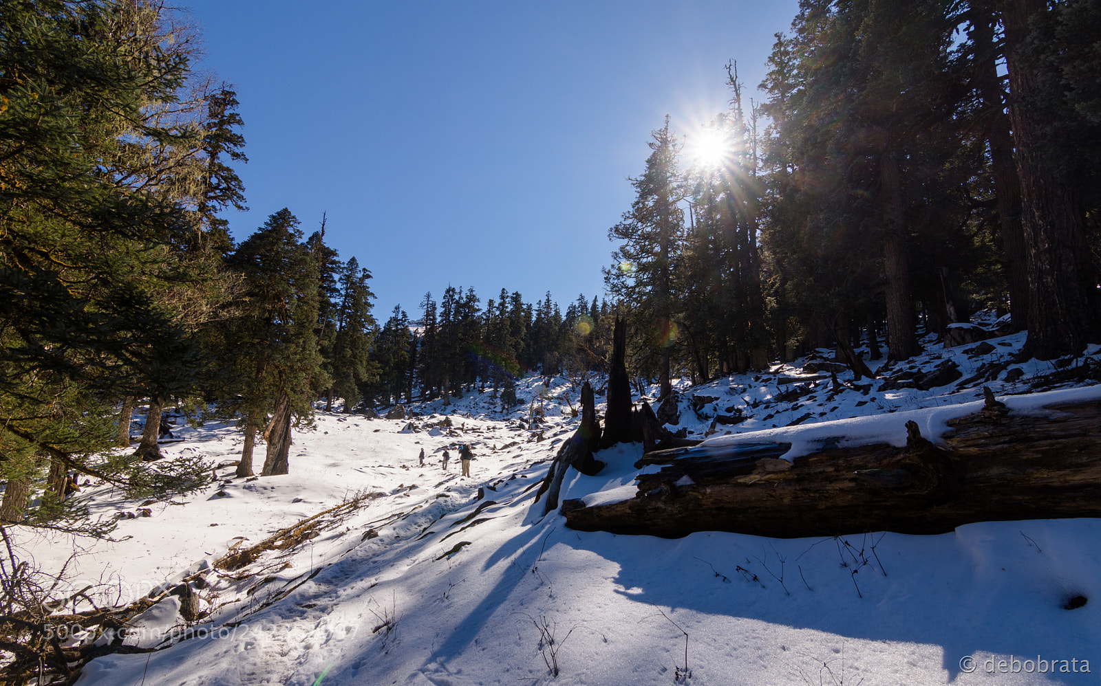 Nikon D7200 sample photo. Finally flat land after photography