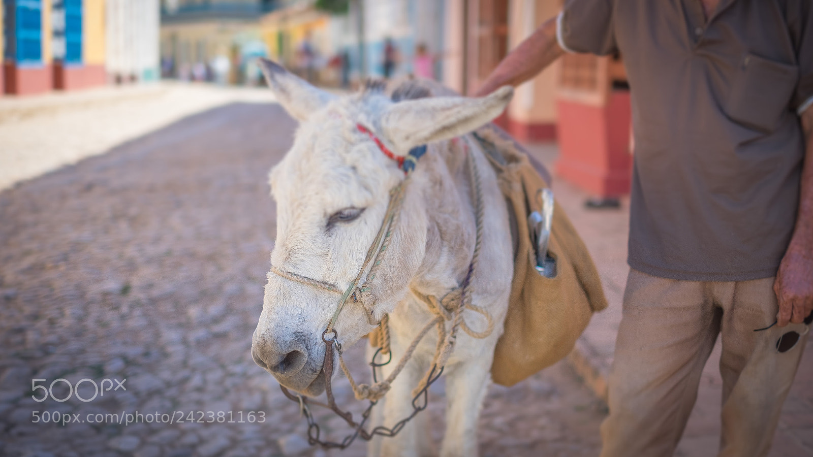 Fujifilm X-E2 sample photo. Cuba x photography