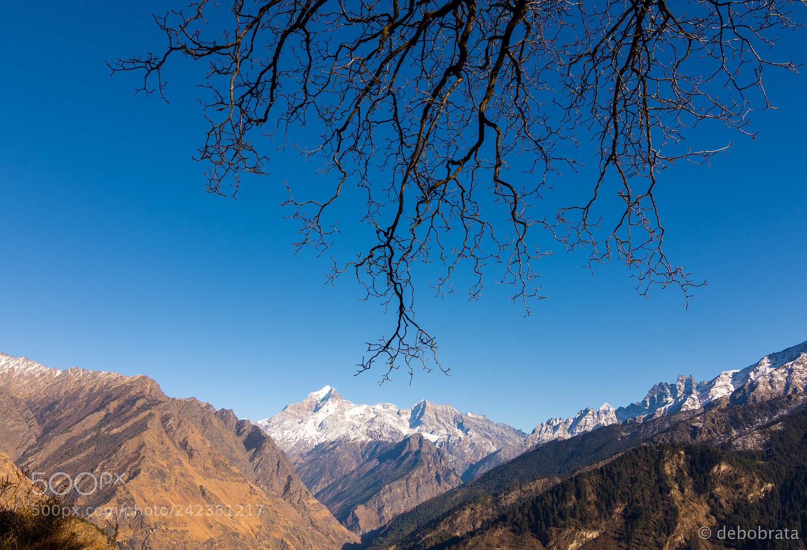Nikon D7200 sample photo. First view of mount photography