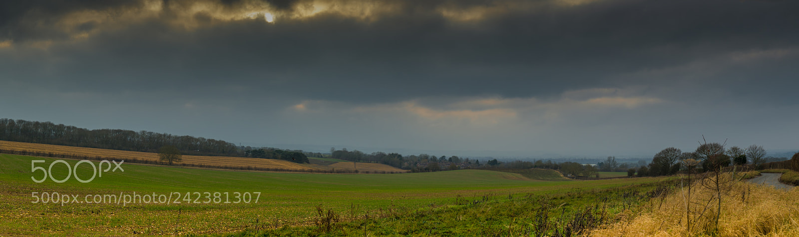 Canon EOS-1D X Mark II sample photo. Overcast february afternoon photography