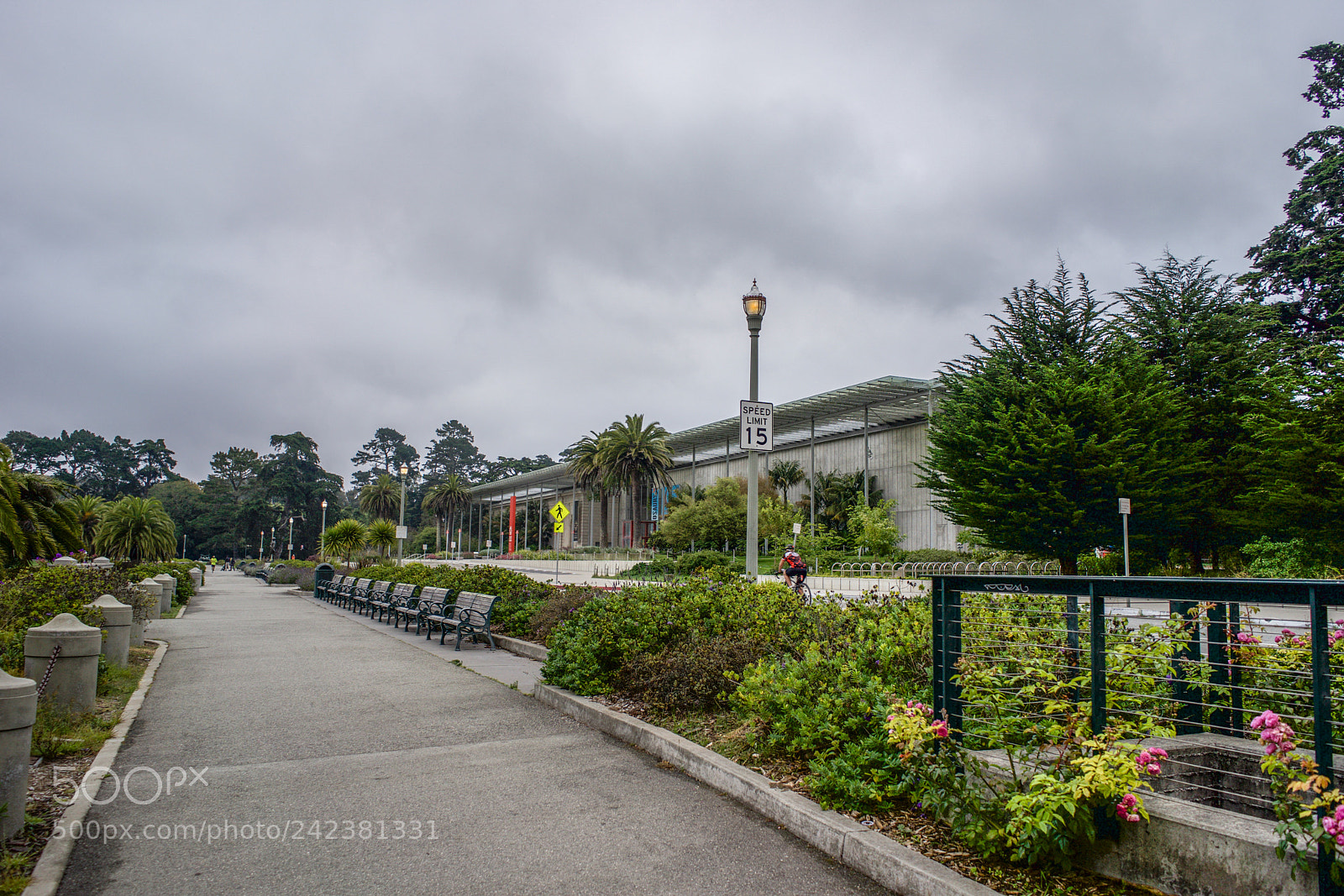 Sony a7 sample photo. Golden gate park san photography