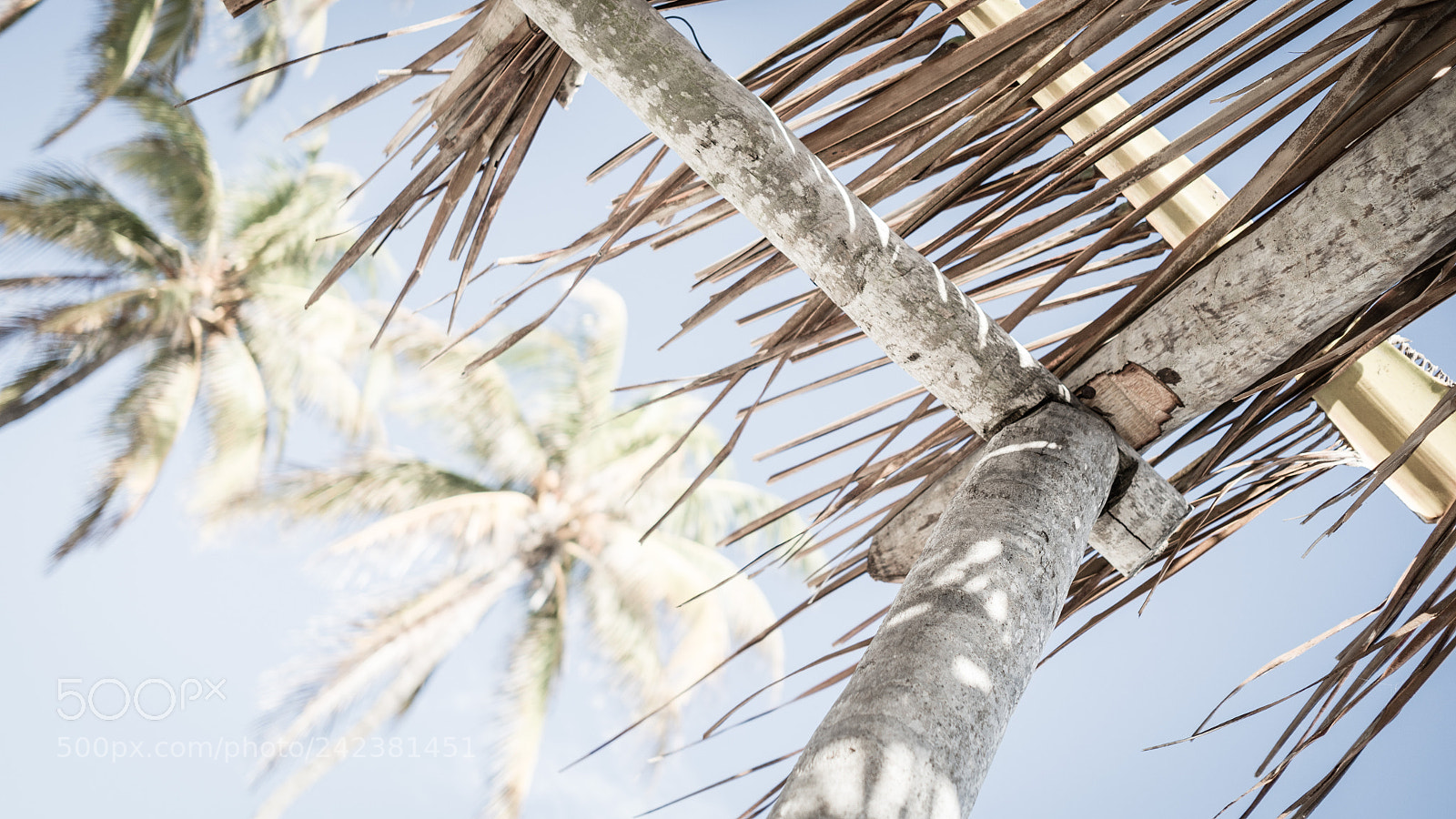 Leica X2 sample photo. Playa del este x photography