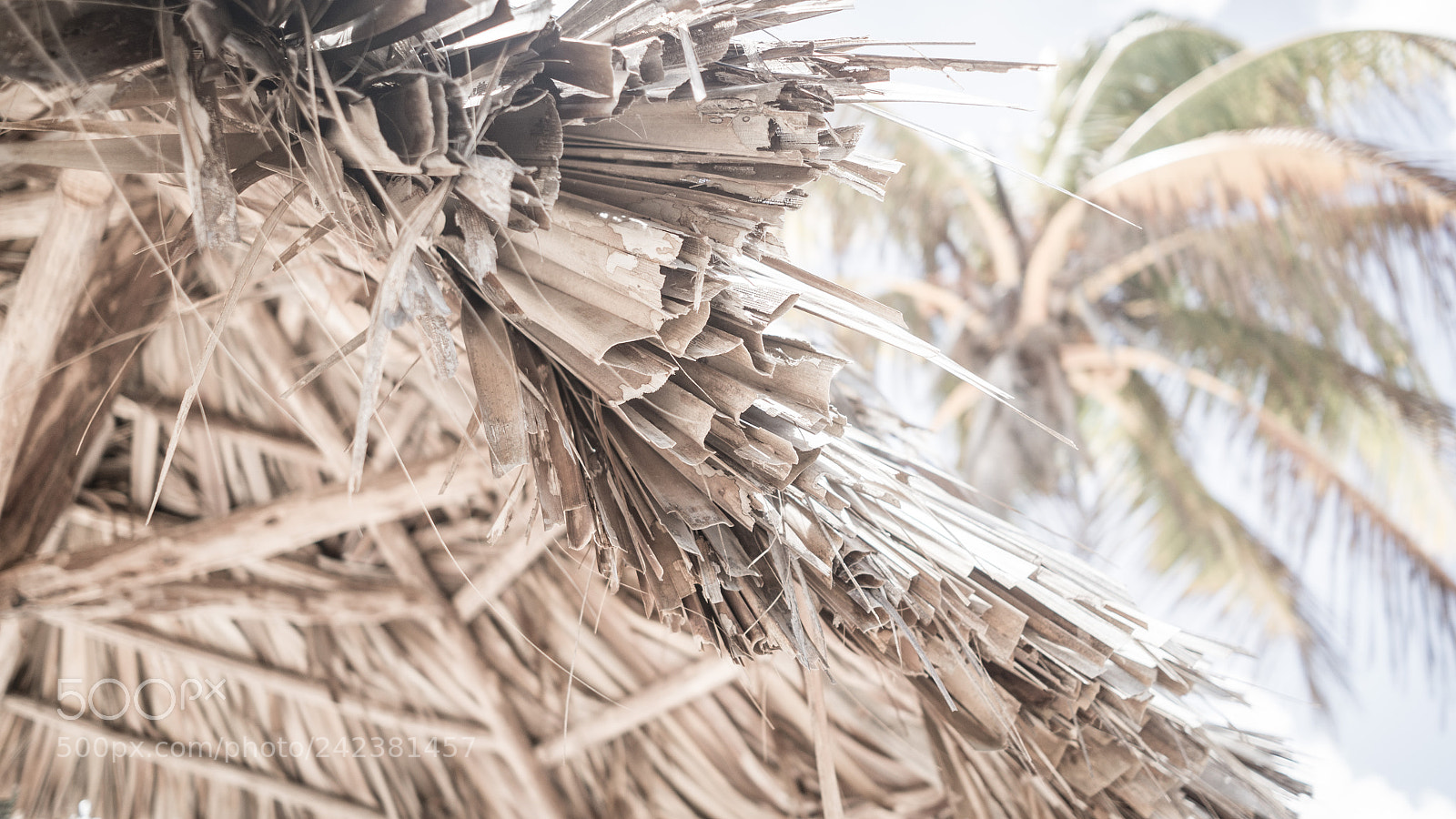 Leica X2 sample photo. Playa del este x photography