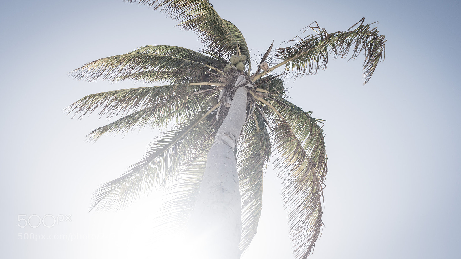 Leica X2 sample photo. Playa del este x photography