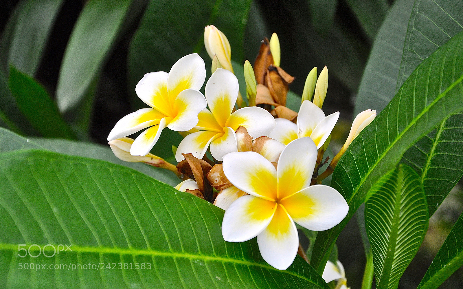 Nikon D90 sample photo. Wake up photography
