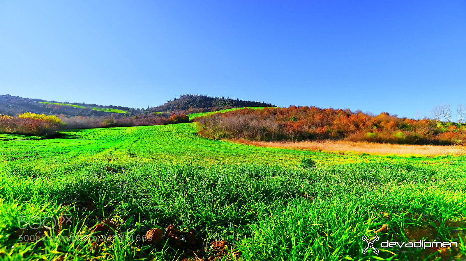 Canon EOS 6D Mark II sample photo. Spring in the middle photography