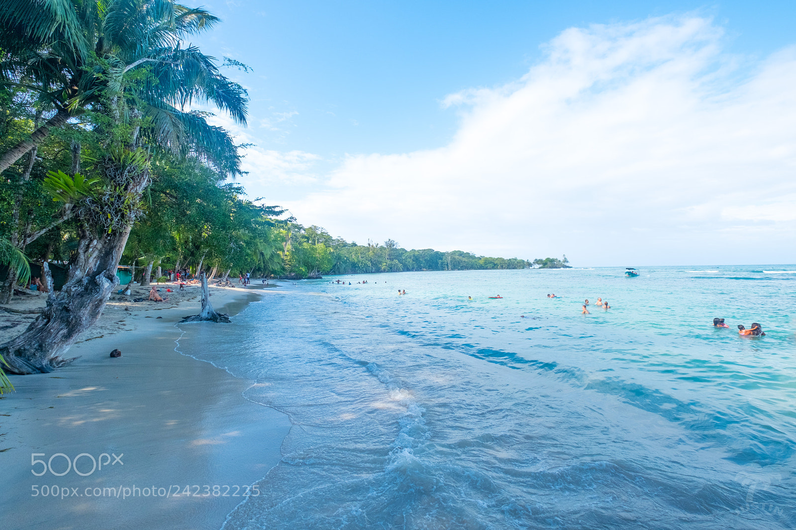 Fujifilm X-Pro2 sample photo. Isla carenero photography
