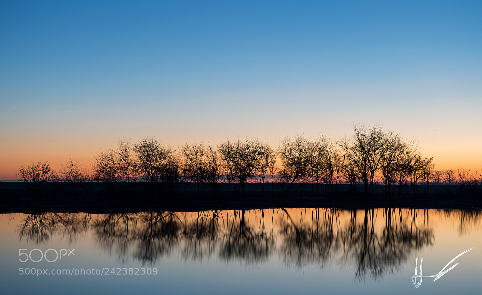 Nikon D800 sample photo. Mirror photography