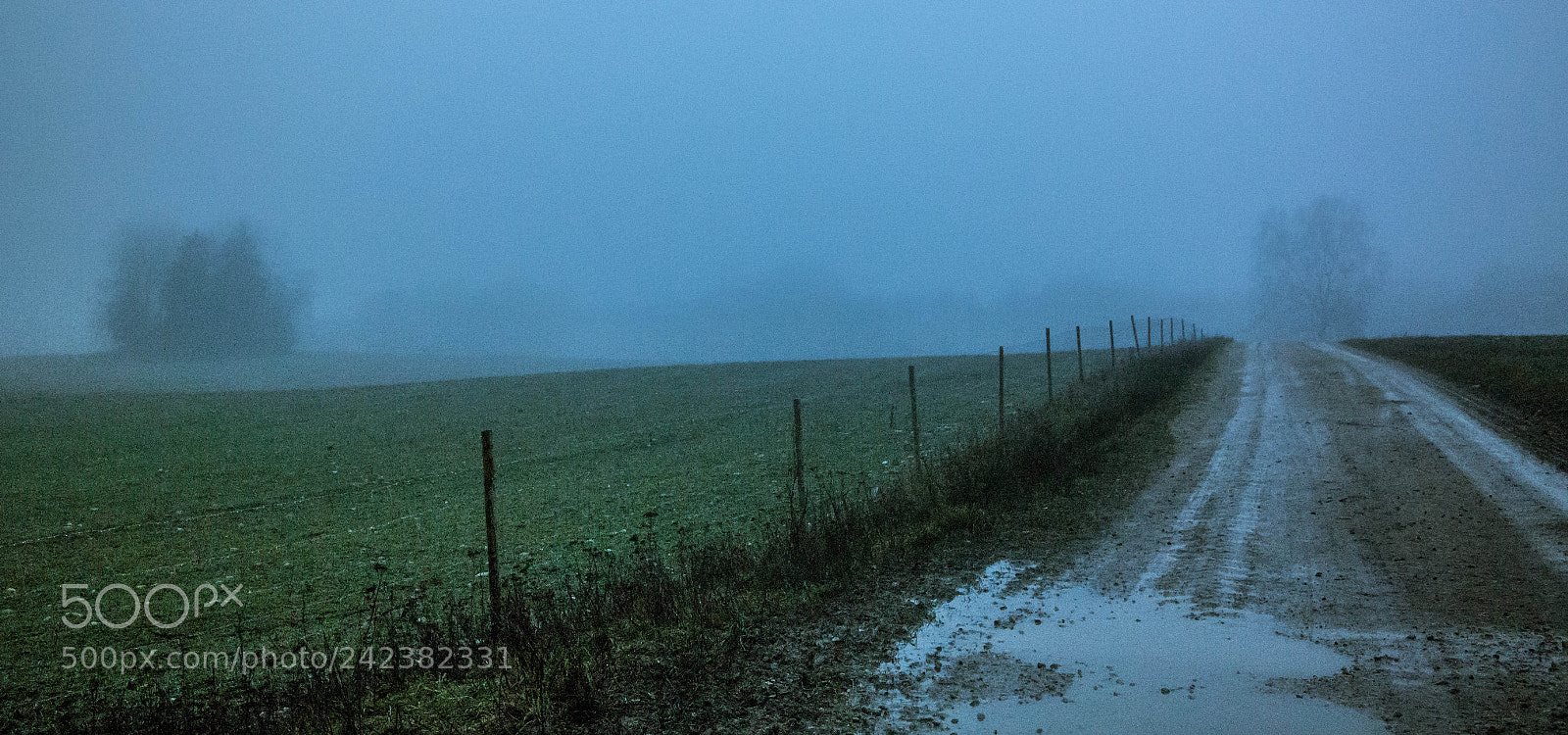 Samsung NX2000 sample photo. Untitled photography